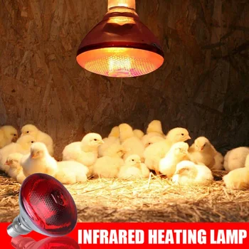 250w инфрачервена топлинна лампа водоустойчива анти-експлозия удебелени крушки за прасенца пилешки птици E27 малка топлинна лампа