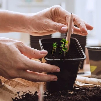 NEW 4pcs идея кълняемост молив комплект да расте молив мини DIY десктоп саксийни растения специални подаръци артистичен молив училищни пособия