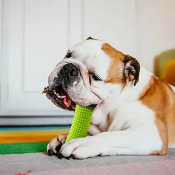 Pet Dog Toy висококачествен материал Интерактивни играчки за малки средни кучета Играчки за дъвчене на кученца Почистване на зъби за домашни любимци Устойчив на ухапване