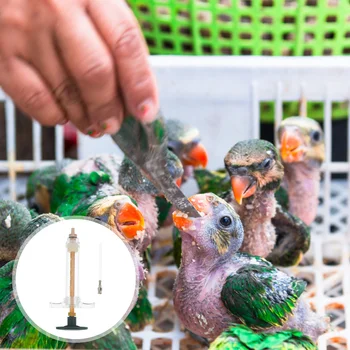 Хранене на папагал хранилка бебе инструмент мляко птица гълъб домашни любимци неща птици течност